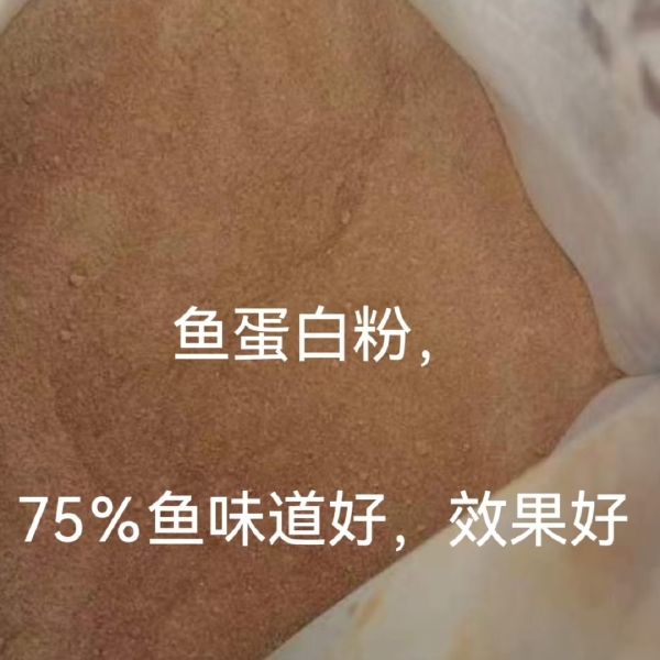 25公斤/袋量大电联聚谷氨酸粉剂25%鱼蛋白粉75%味道好