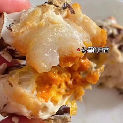 兴化市满膏满黄，肉质肥美