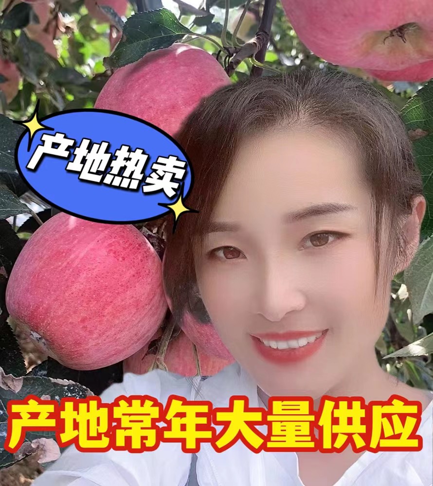 蒙阴县推荐 山东沂蒙山红富士苹果批发 冰糖心苹果产地大量供应