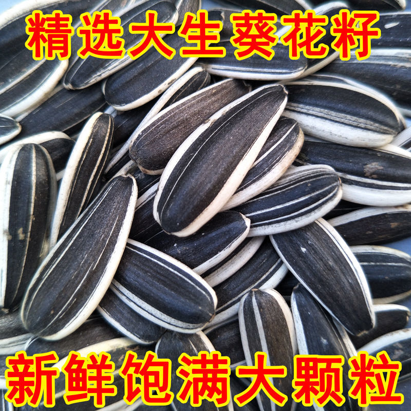 兴和县2022年新货生葵花籽原味生瓜子内蒙古葵瓜子特产散装361