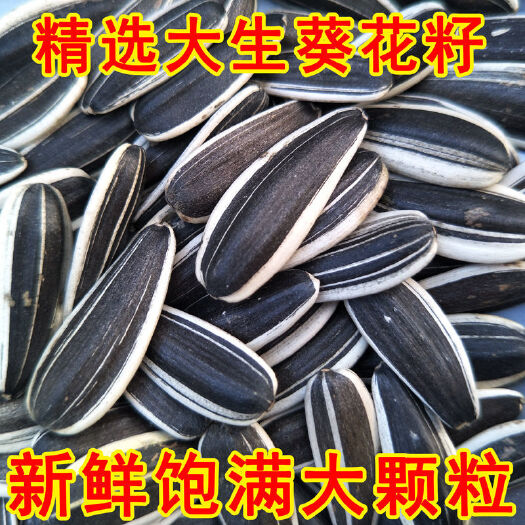 内蒙古兴和县优质葵瓜子产地直发新鲜健康零食批发零售