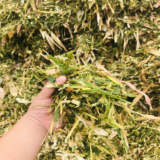 绛县青储玉米秸秆饲料 牛羊玉米秸秆草料压块饲料价格