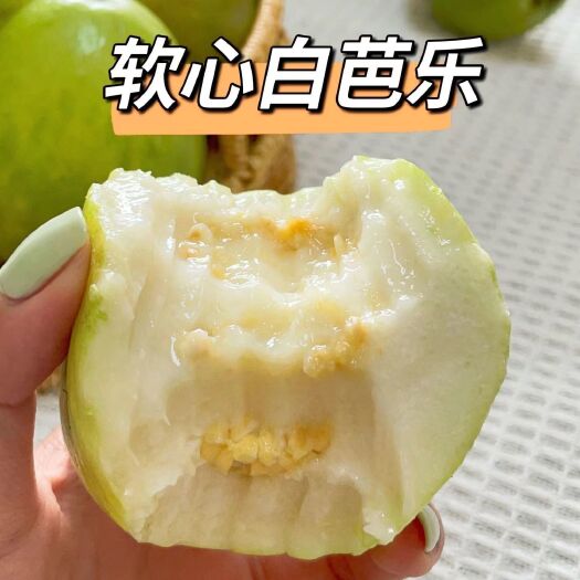 漳州福建冰凌淋黄心软糯甜白心芭乐番石榴