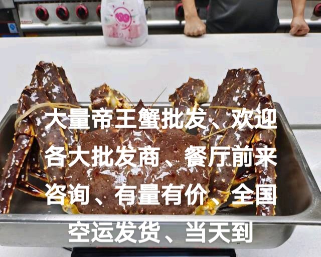 深圳帝王蟹