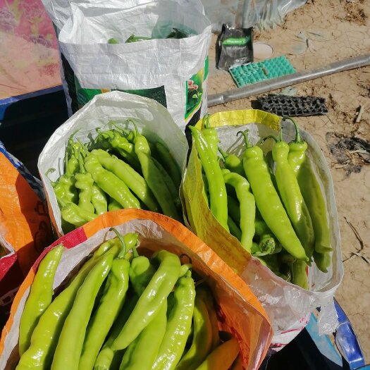 隆尧县产地直发，无中间商差价。