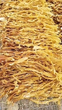 英德市笋干  笋花凤尾笋雪花笋麻竹笋广东英德麻竹笋之乡