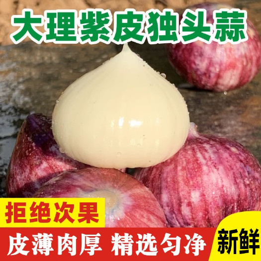 昆明[一件代发]农家自种云南紫皮独头分辨蒜干蒜电商直播现货秒发
