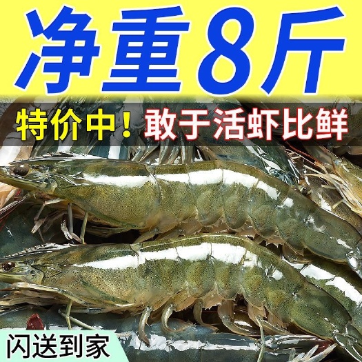 长沙青岛大虾整箱海鲜鲜活速冻超特大冷冻基围虾鲜虾海虾对虾青虾