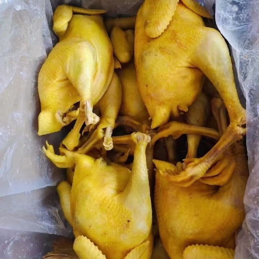 成都盐焗鸡跑江湖批发地摊产品