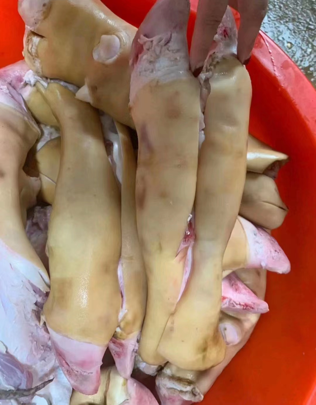 火烧牛蹄，可去骨，可据块
