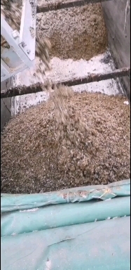 湖州海量肉鸡粪，20元/吨