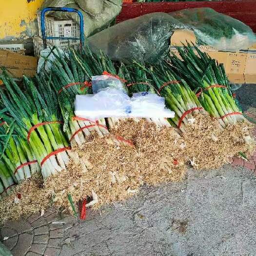 青州市量大现货