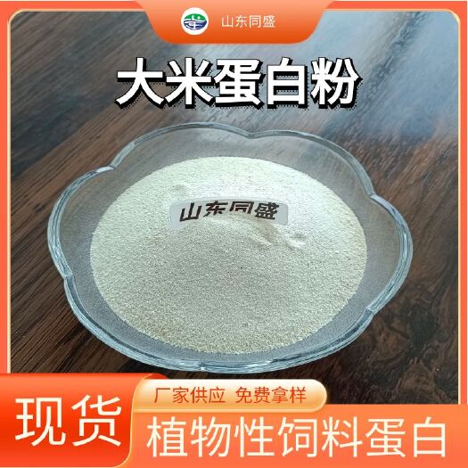 无棣县大米蛋白粉 畜禽水产宠物饲料蛋白源 山东同盛厂家现货