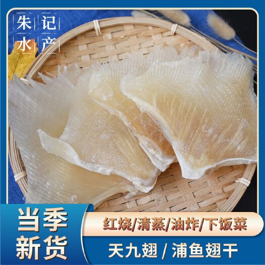 北海鳐鱼翅蒲鱼翅天星吃天九翅鱼翅软骨电商海鲜干货