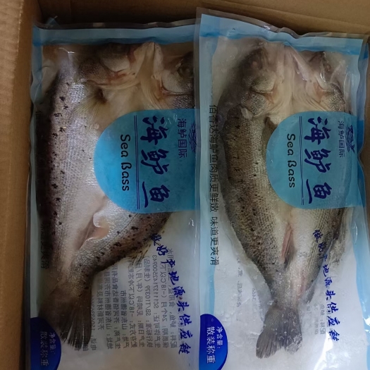 济南海鲈鱼