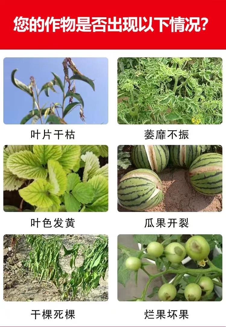 氨基酸水溶肥料 培肥地力，膨果防裂，增糖着色松土生根抗病防逆