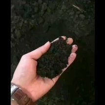 柳州烟末有机肥，提高品质，持效期长