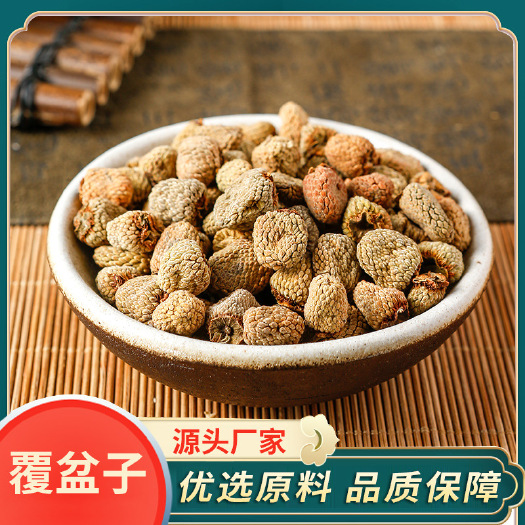 覆盆子 批发优质覆盆子浙江产地一手货源 可供大货价优