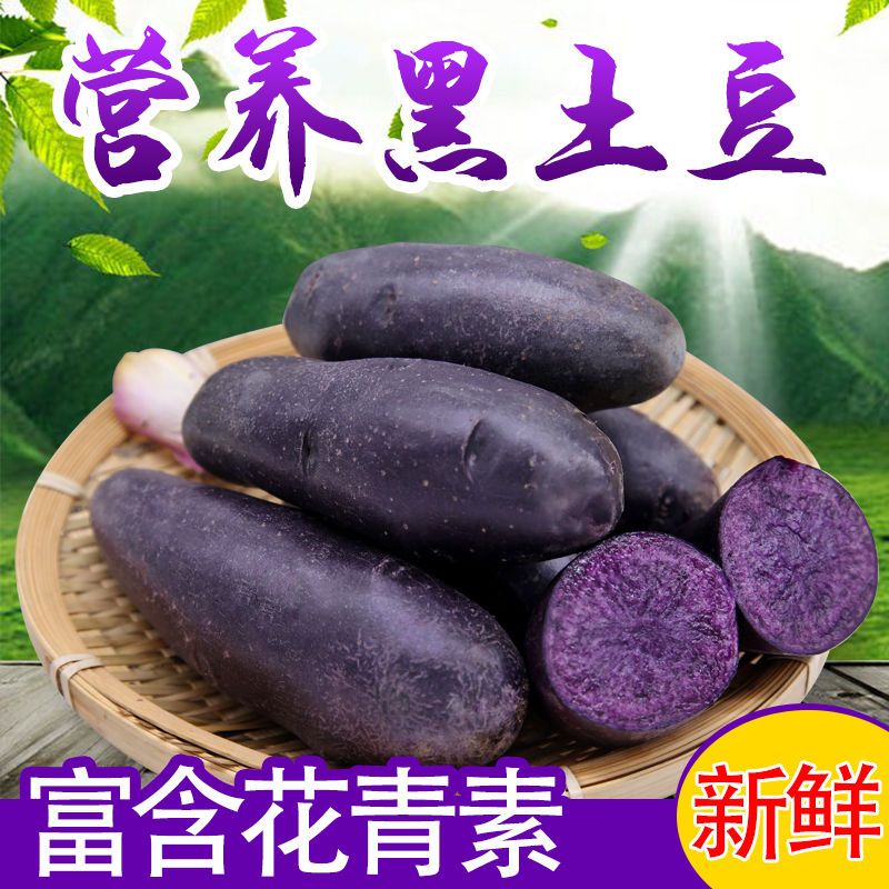 庆安县当季新鲜黑土豆高山紫土豆黑金刚土豆黑美人马铃薯蔬菜
