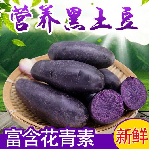 当季新鲜黑土豆高山紫土豆黑金刚土豆黑美人马铃薯蔬菜