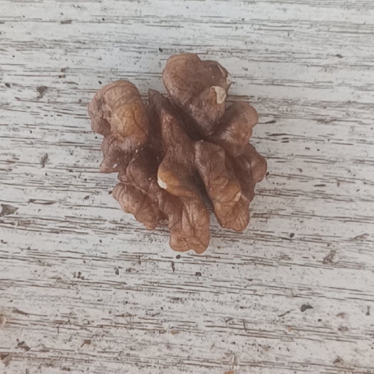 汾阳市新疆新丰次白