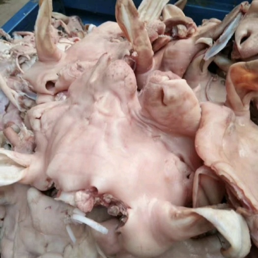 中牟县羊头肉羊脸肉7成熟厂家直销没有中间商一手货源