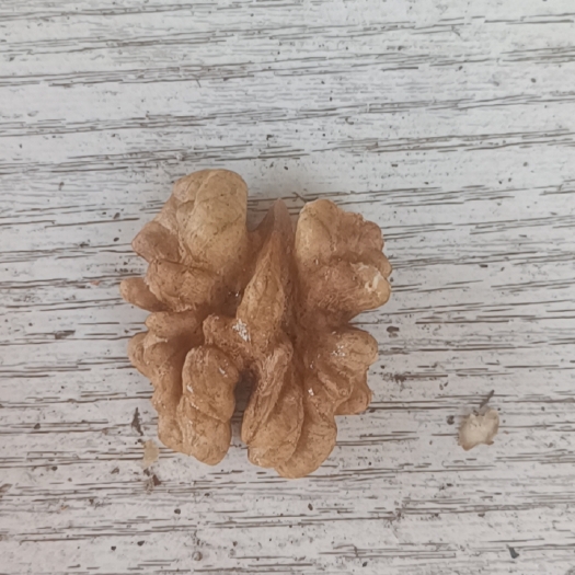 汾阳市新疆新丰尖普白