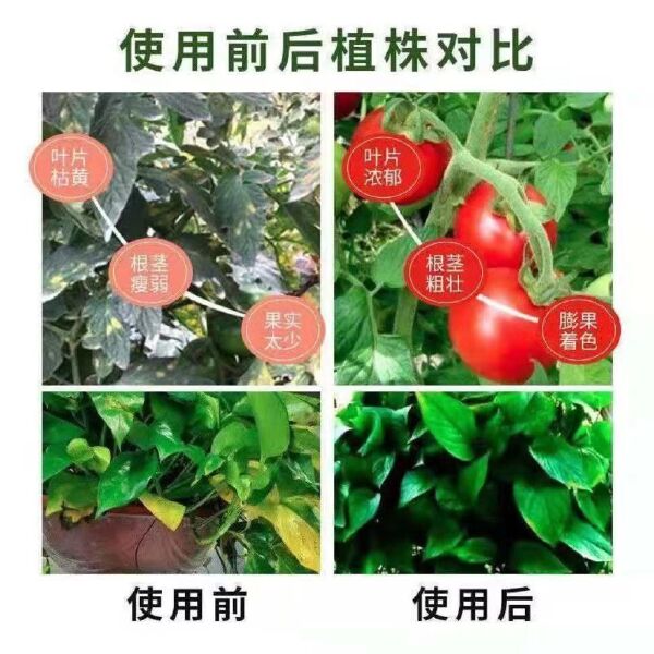 花卉氮磷钾肥料通用型农用颗粒蔬菜果树化肥料家用微量元素