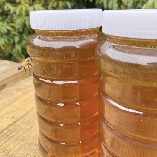 蜂蜜 荔枝蜜蜂蜜天然野生蜂蜜农家自产荔枝龙眼百花结晶土蜂蜜