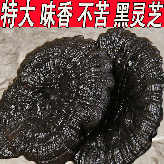 亳州长白山灵芝深山黑灵芝大朵正品紫灵芝不苦整枝泡茶煮水煲汤泡酒
