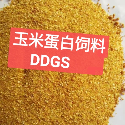 一手货源厂家直销玉米蛋白饲料DDGS