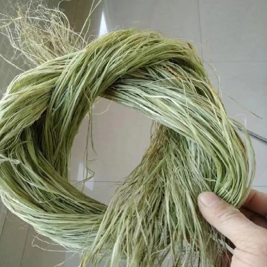 大竹县自家种植的苎麻 纯手工制作 天然植物