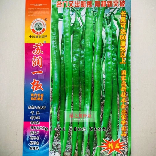 沭阳县【精品特长线椒种子】苏润一椒线椒种子辣椒亩产万斤加长线椒种籽