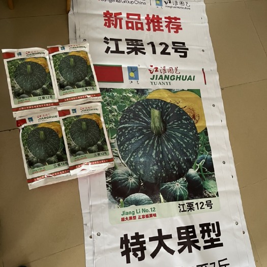阳江板栗南瓜种子