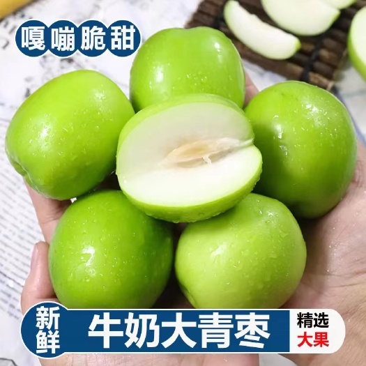 浦北县广西/福建青枣牛奶大青枣1/3/5/9斤电商一件代发包邮