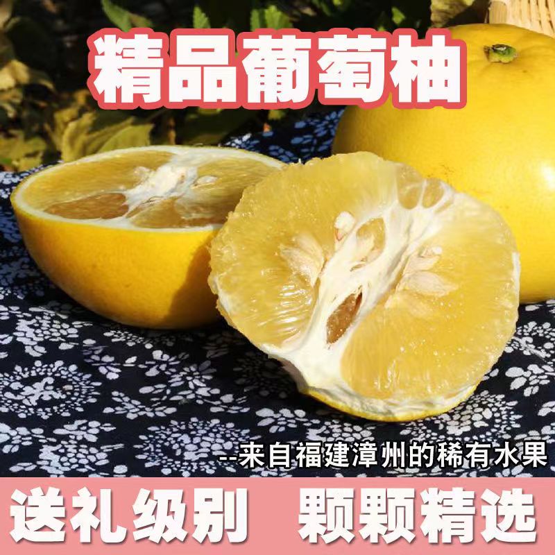 平和县福建黄金葡萄柚 新鲜当季水果黄肉蜜柚子