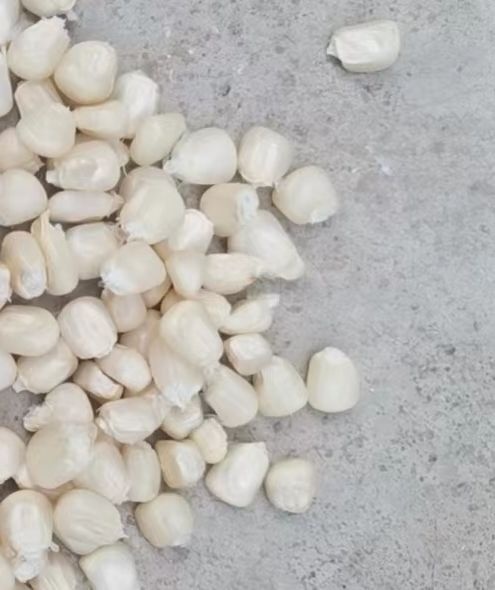 糯玉米干颗粒