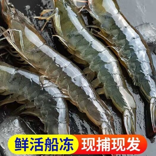 杭州【无冰款】青岛大虾鲜活新鲜盐冻海虾水产一箱对虾基围虾白虾海捕