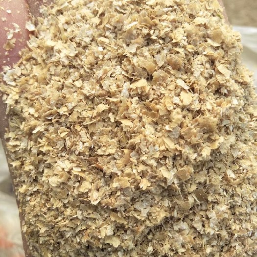 优质麸皮，一手货源，全国发货