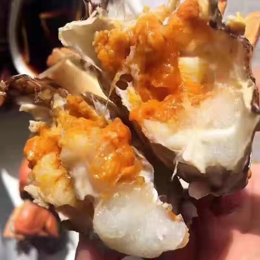 洪湖市洪湖清水大闸蟹 原产地养殖场直发 一手货源 质量保证