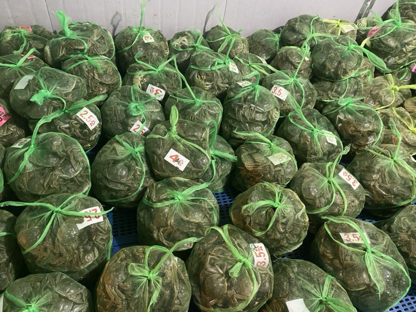 江苏兴化精品大闸蟹 个大饱满 全国发货