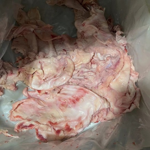 阳信县生牛筋 牛肉筋 筋皮 饭店 火锅店 批发专用食材 手续齐全