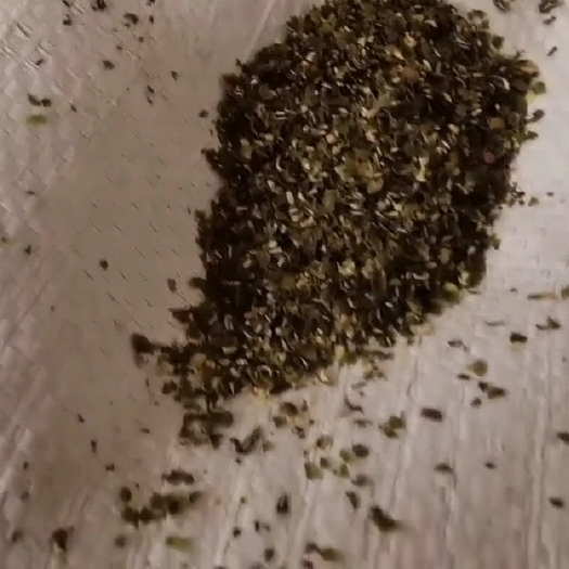 武汉绿豆皮 绿豆面子