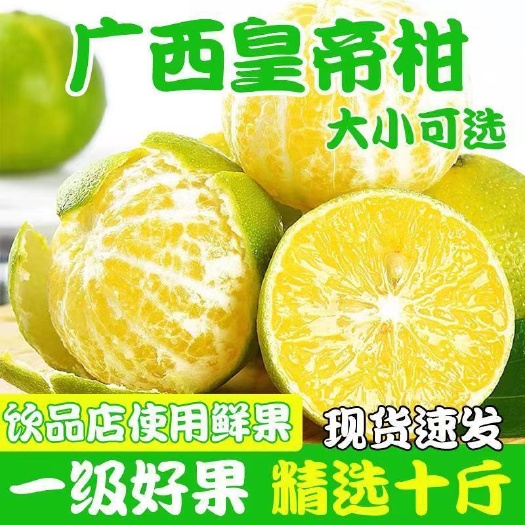 广西皇帝柑当季水果电商一件代发批发1/3/5/9斤包邮
