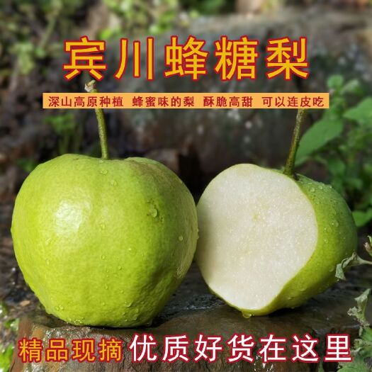 云南宾川蜂糖梨青皮蜂蜜梨高原新鲜孕妇水果脆甜多汁包邮