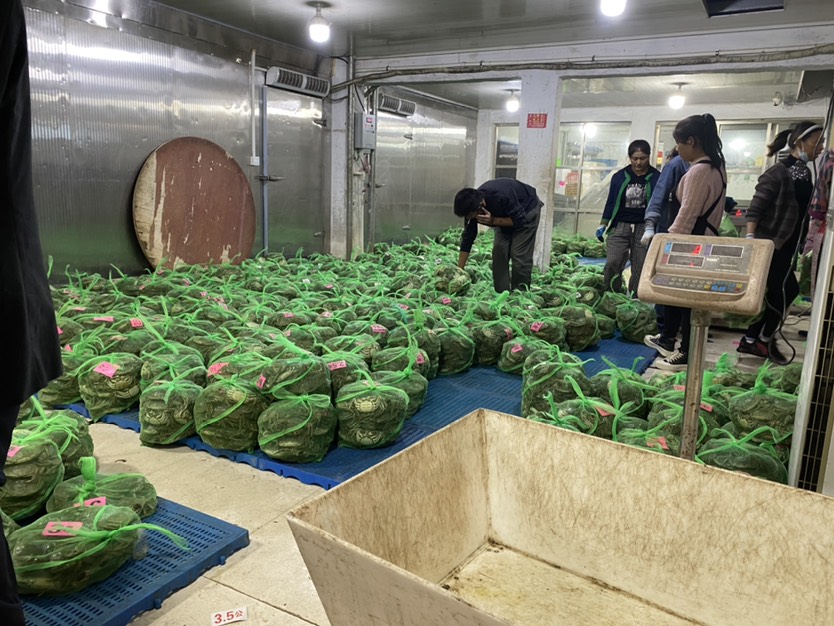 江苏兴化精品大闸蟹 个大饱满 全国发货