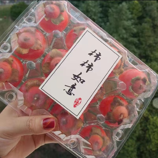 南安市珠蜜柿48枚柿子新鲜迷你小柿子水果一口吸火罐火晶软柿
