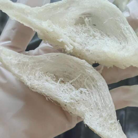 漳州印尼燕窝