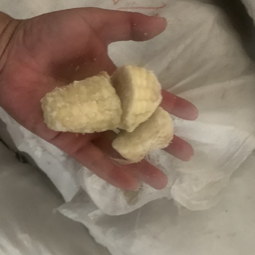 张家口熟糯玉米玉米下脚料
