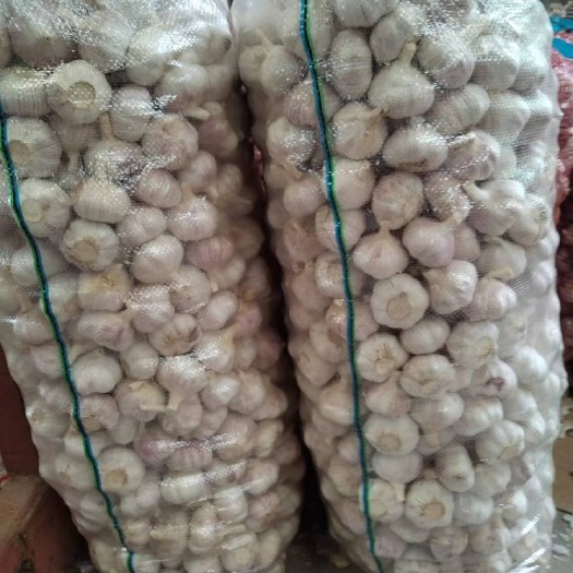 金乡县大蒜金乡大蒜，红蒜紫皮蒜，提供各种包装，全年供应